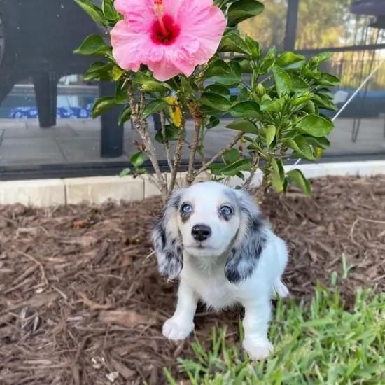 WhatsApp Image 2025-05-10 at 08.47.24 (6)