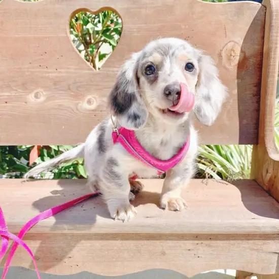 WhatsApp Image 2025-05-10 at 08.47.24 (7)